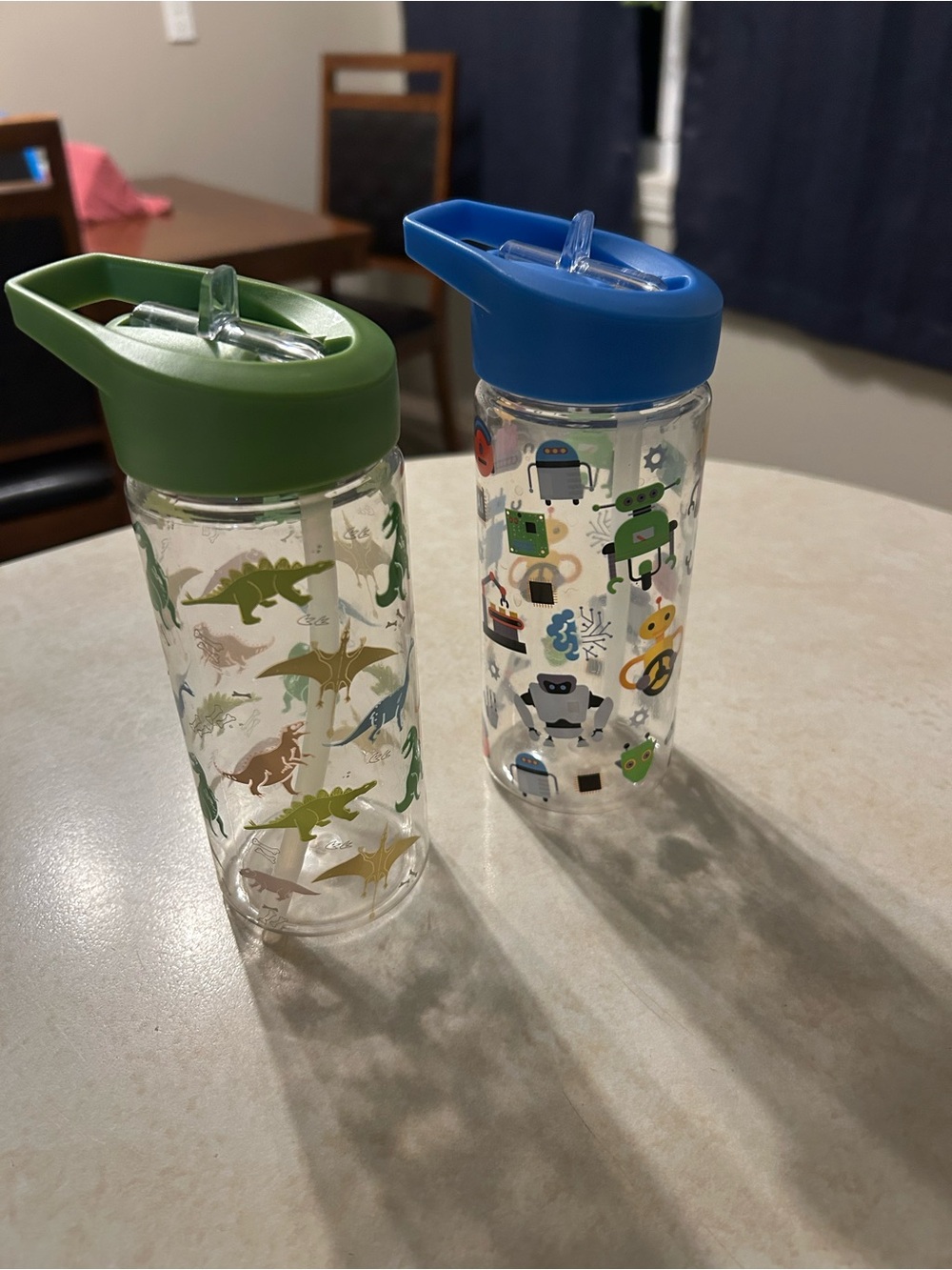 Kids Dinosaur & Robot Straw Water Bottles - Green & Blue Lids